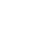Horizon Robotics logo