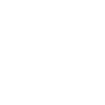 Wise logo